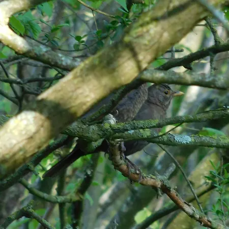 Village De Nature Et Jardin Semesteranläggning (resort) *