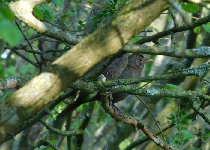 Village De Nature Et Jardin Station touristique *